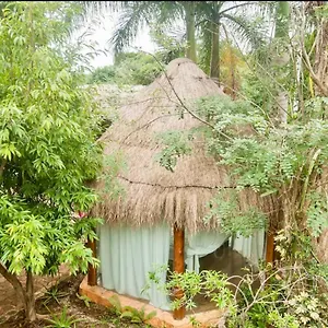 Oma - Holistic Healing Center Appartement