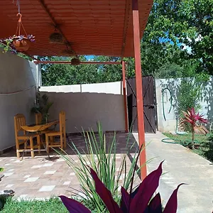Casa Flores Appartement